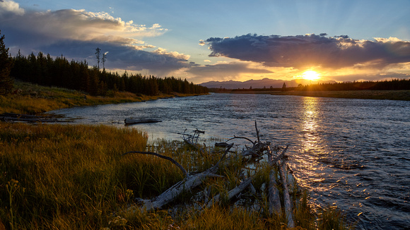 Madison River, Yellowstone National Park D